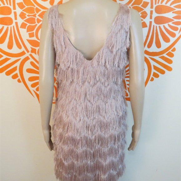 Zara Sleeveless Blush Fringe Dress XS - Picture 3 of 3